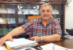 Grecii de la Total Soft au defrisat Romsilva. Padurarii au platit in avans lucrarile pentru inteligenta artificiala a Regiei silvice
