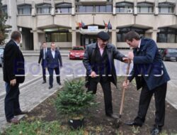 PER a plantat, dupa depunerea candidaturilor, un brad in fata Primariei