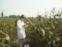 primaryevaluation1