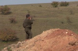 Proprietarii de paduri din zona Huedin, terorizati si batuti de hotii de lemne