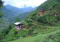 tara eco