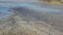Responsabilul dezastrului ecologic din comuna Focuri a fost amendat