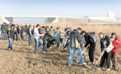 Se cauta voluntari pentru o campanie de impadurire in judetul Timis