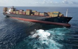 Poluarea cu petrol din Noua Zeelanda, "cea mai mare catastrofa ecologica maritima"