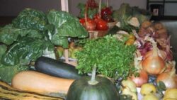 agricultura