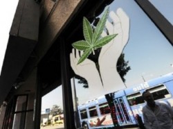 colorado-si-washington-primele-state-americane-care-legalizeaza-consumul-de-marijuana-85695-1