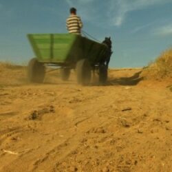 desert oltenia