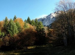 Bihorul a intrat pe lista scurta a destinatiilor pentru ecoturism din Romania