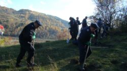 jandarmi la plantari