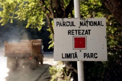 parcul-national-retezat-distrus-de-mioare-18435389