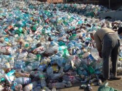 Flashmob impotriva sticlelor de plastic in centrul Timisoarei