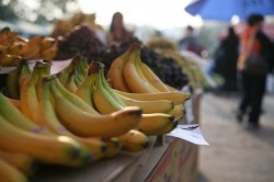 produse eco