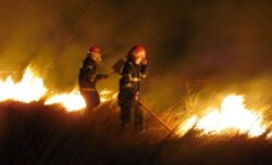 Flacari inalte de cativa metri au cuprins rezervatia biosferei Delta Dunarii si peste zece de hectare de vegetatie uscata au ars la Histria