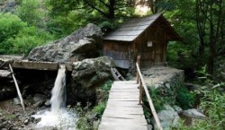 Destinatiile de ecoturism, una dintre solutiile pentru viitorul turismului romanesc