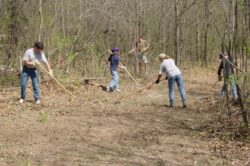 Legea care recunoaste voluntariatul ca experienta profesionala, intrata in dezbatere parlamentara