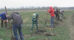 Ziua Verde, sarbatorita intr-un mod inedit la un colegiu iesean
