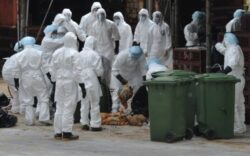 America interzice publicarea unui studiu stiintific pentru ca se teme de un atac terorist biologic