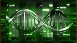 adn