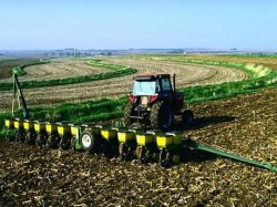 Agricultura ecologica, o solutie pentru fermierii romani