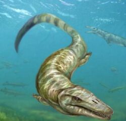 dinozaur