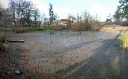 Unica in Europa, rezervatia cu nuferi din Baile 1 Mai a disparut cu totul