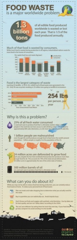 food-waste
