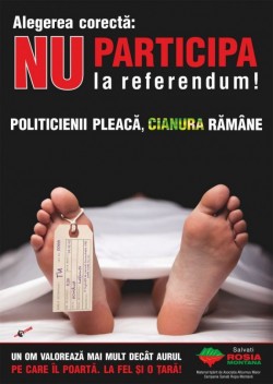 referendum