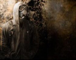 Animalele, singurele supravietuitoare ale catastrofei nucleare de la Cernobil