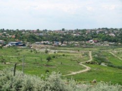 De ce a fost suspendata licitatia privind ecologizarea polderului Zaghen
