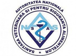 ansvsa