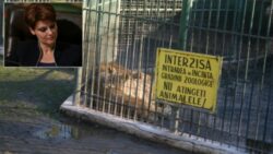 gradina zoologica