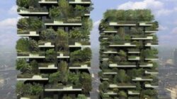 gradini verticale