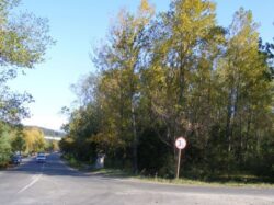 padure_ostroveni-valcea_03