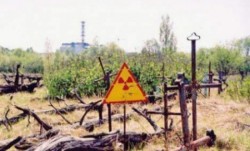 Lupi mutanti: Efecte necunoscute la 28 de ani de la accidentul nuclear de la Cernobil