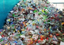 Elevii scolii “Vasile Alecsandri” au adunat si au predat spre reciclare o tona si jumatate de hartie