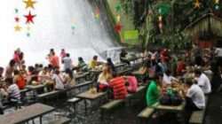 restaurant apa