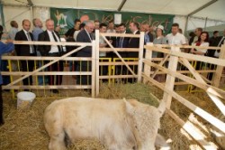 Cele mai importante evenimente din agricultura au loc in aceasta toamna la Iasi