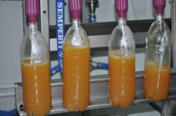 Fara suc de fructe la masa! De ce condamna expertii obiceiul parintilor de a da copiilor sucuri naturale?