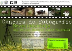 Concurs de fotografie. Nevertebratele din Parcul Natural Lunca Muresului