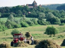 Biodiversitate la Fanatele Clujului – 100 fotografii, 200 specii