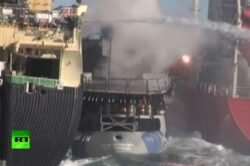 Ciocniri intre vapoarele activistilor si ale vanatorilor de balene