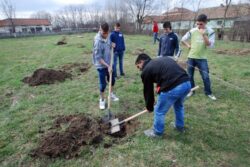 Copiii de la centru de plasament din Gavojdia au participat la o actiune ecologica de plantare a pomilor