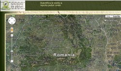 A aparut “Harta taierilor de paduri”