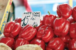 60 de tone de macrou cu paraziti si zece tone de ardei si pere contaminate au ajuns in magazinele din tara
