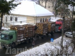 Drumul pe valea Ramnicului: Transportatorii de lemn strica, statul repara