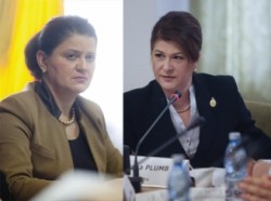 Rovana Plumb a dat 17 hectare din Parcul National Defileul Jiului unor afaceristi italieni garantati de Anca Boagiu