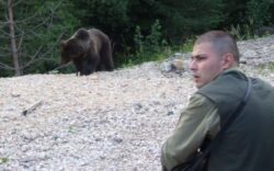 Ministrul Mediului da liber la impuscat lupi si ursi daca animalele ataca oamenii