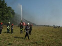 Protejarea padurilor, o preocupare permanenta pentru pompierii bihoreni