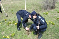 Jandarmii clujeni au iesit la plantat copaci