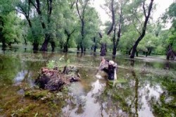 Galati: Amenajarea Luncii Dunarii, in dezbatere publica